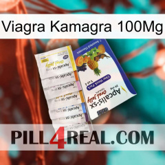Viagra Kamagra 100Mg 11